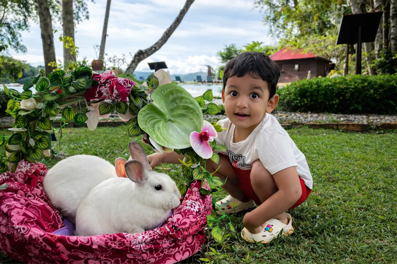Bunnies by the Beach