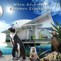 langkawi-underwater-world