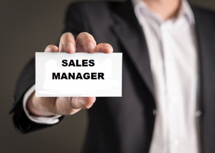 Sales Manager