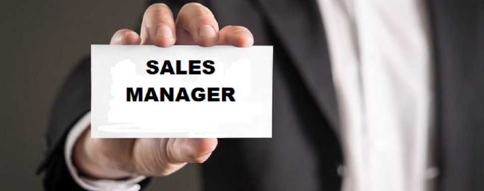 Sales Manager