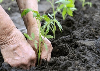 Organic Farming Course