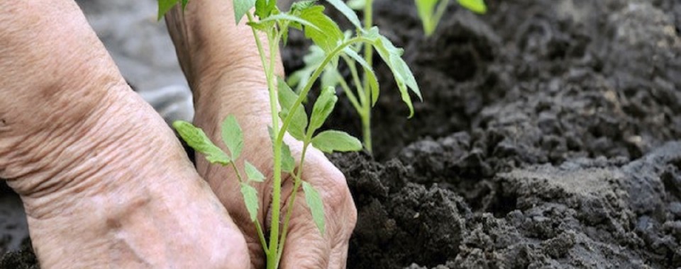 Organic Farming Course